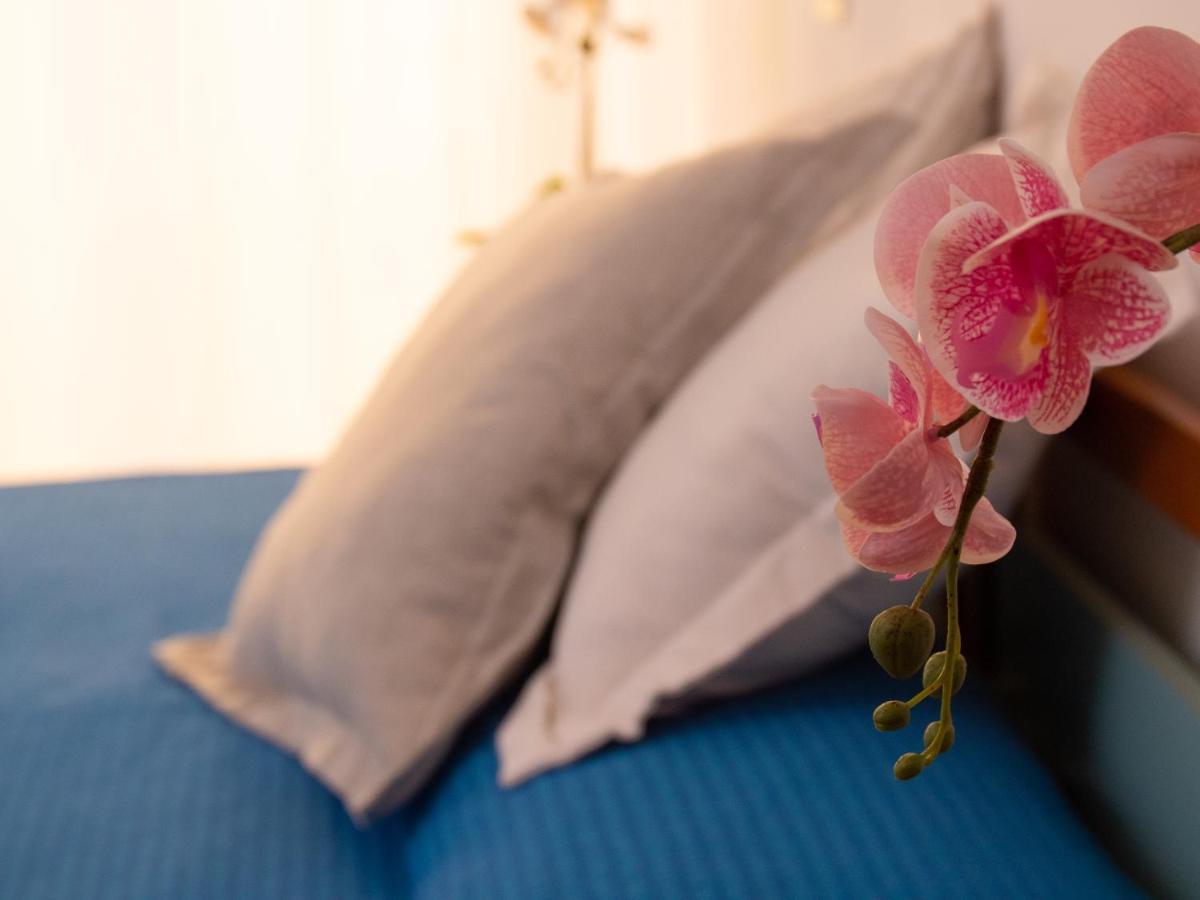 Hotel Merano Misano Adriatico Ngoại thất bức ảnh